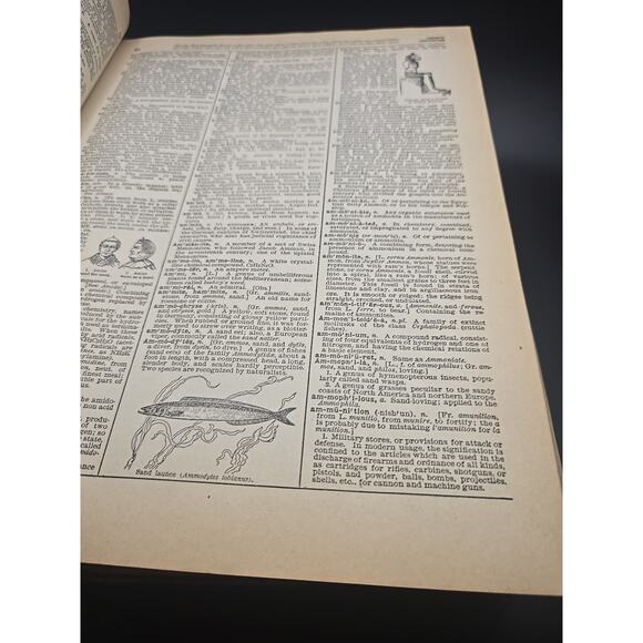 Webster's Universities Unabridged Dictionary Copyright 1940 World Publishing Co. - Picture 7 of 7